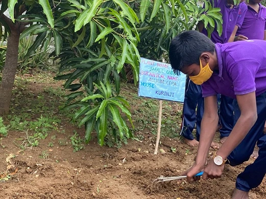 ECO Club Activity August